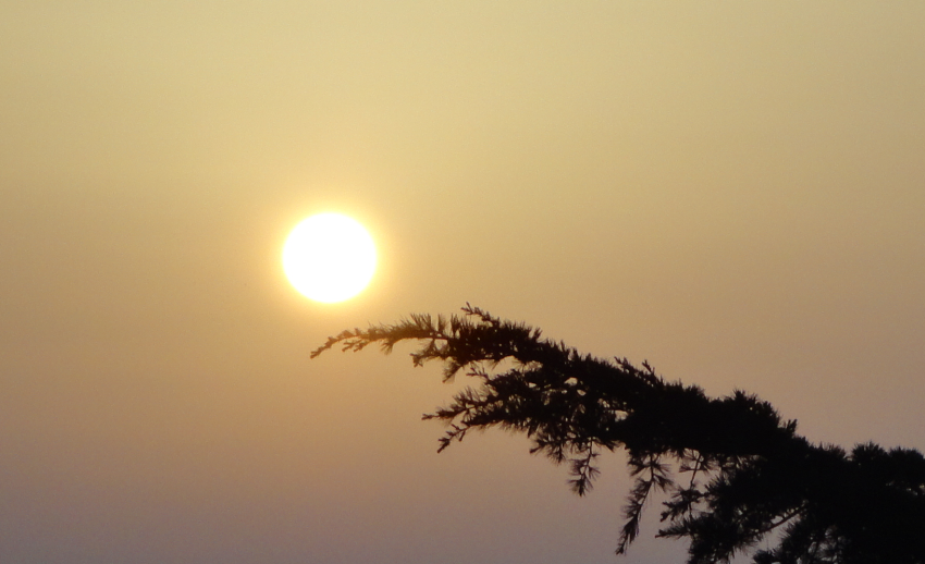 THẲNG THẮN TRUNG THỰC