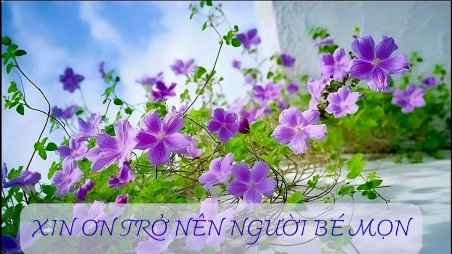 XIN ƠN TRỞ NÊN NGƯỜI BÉ MỌN