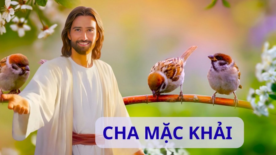 THỨ TƯ TUẦN 15 THƯỜNG NIÊN