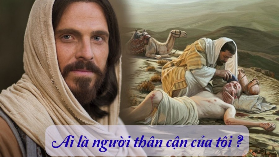 Chúa nhật 15 Thường niên năm C