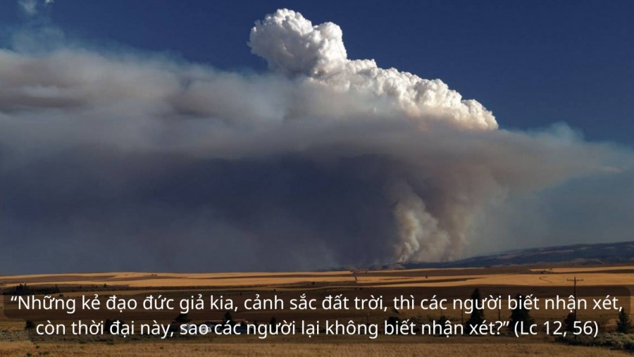 Thứ Sáu Tuần 29 Thường Niên Năm C (Lc 12, 54-59)