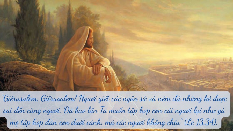 Thứ Năm Tuần 30 Thường Niên Năm C (Lc 13, 31-35)