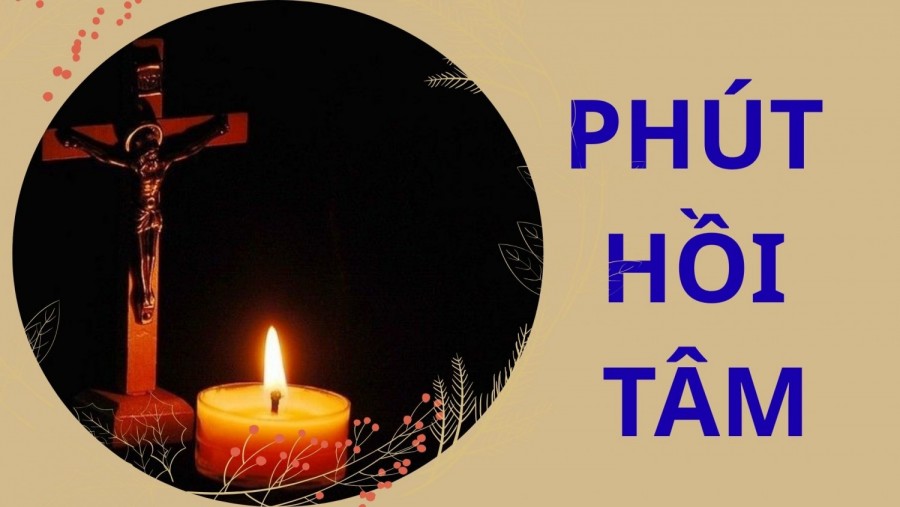 HỒI TÂM THÁNG 11: Xây Dựng Hòa Bình Từ Một Tâm Hồn Trong Sạch (Mt5, 1-12)