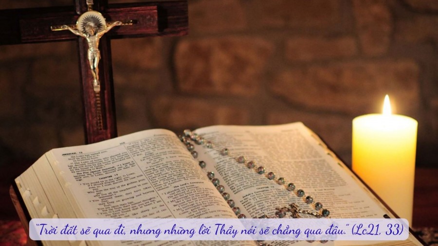 Thứ Sáu Tuần 34 Thường Niên Năm C  (Lc21, 29 - 33 )