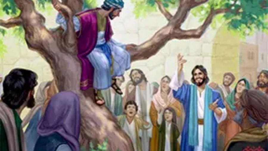 Thứ Ba Tuần 33 Thường Niên Năm C (Lc 19,1-10)