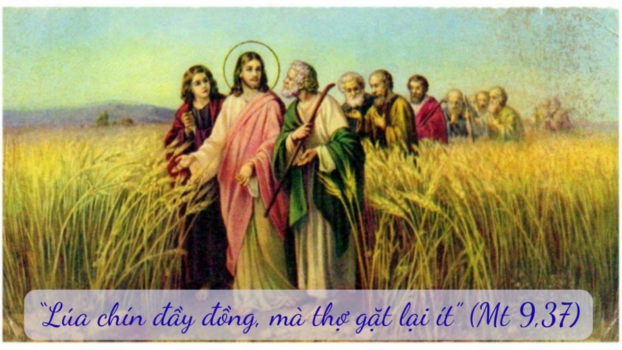 Thứ Bảy Tuần I Mùa Vọng Năm A (Mt 9,35 - 10, 1.6-8)