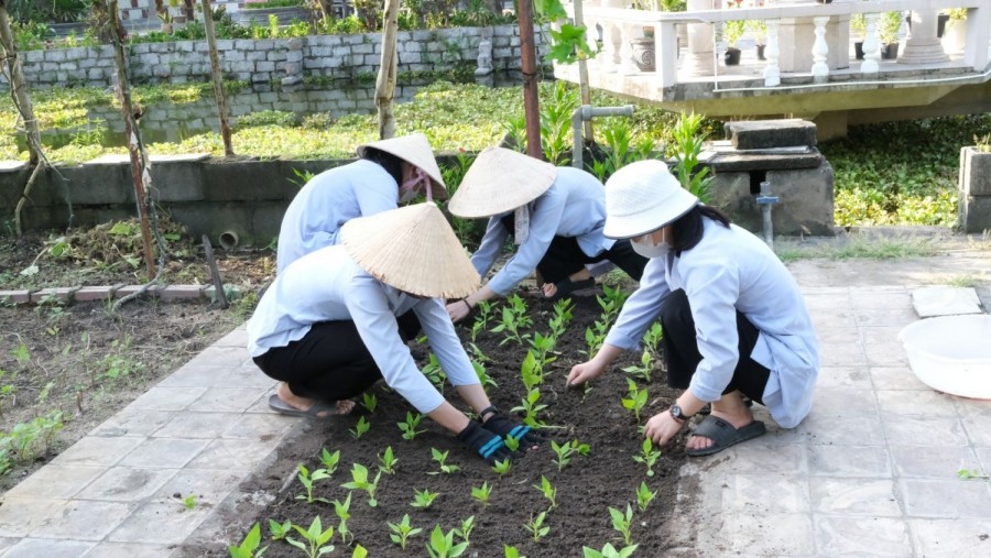 ĐÚC LẠI NHỮNG THÓI QUEN CỦA MÌNH:  Suy tư nhân Ngày Thế giới Cầu nguyện cho việc Chăm sóc Thụ tạo