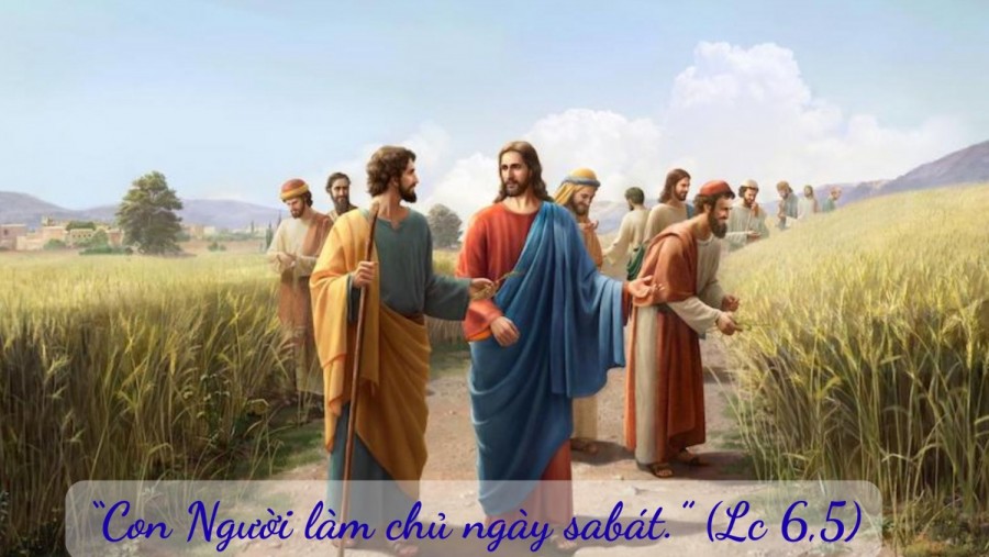 Thứ Bảy Tuần 22 Thường Niên Năm A (Lc 6, 1-5)