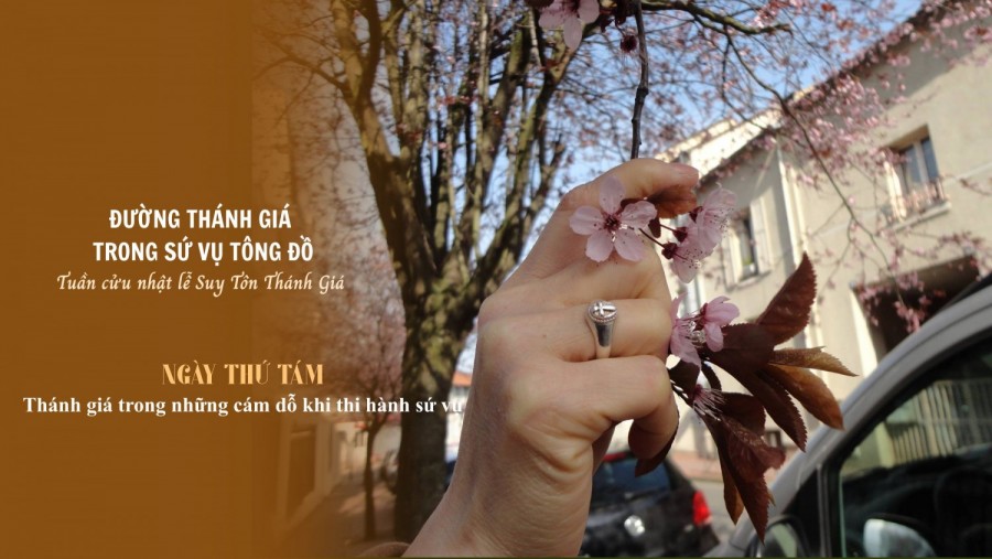 THÁNH GIÁ TRONG NHỮNG CÁM DỖ KHI THI HÀNH SỨ VỤ TÔNG ĐỒ - TUẦN CỬU NHẬT LỄ SUY TÔN THÁNH GIÁ