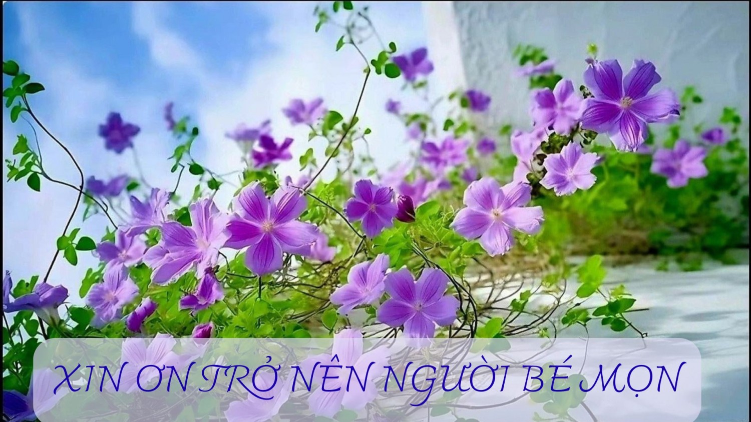 XIN ƠN TRỞ NÊN NGƯỜI BÉ MỌN