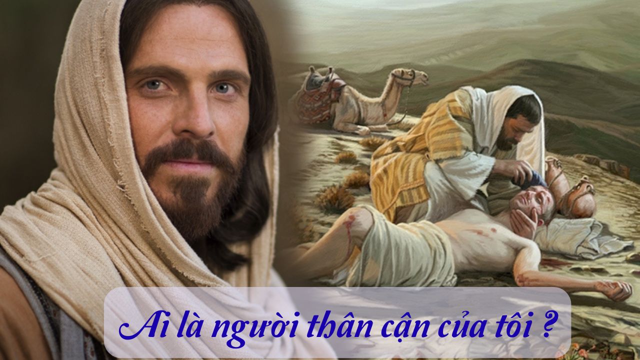 Chúa nhật 15 Thường niên năm C