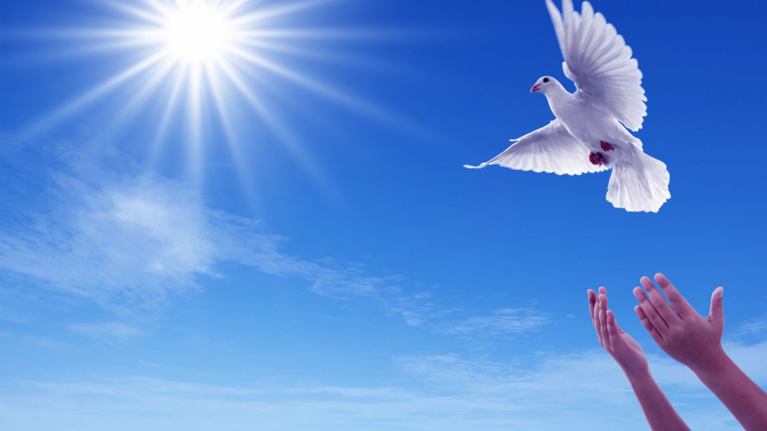 KHẢ NĂNG CẢM THỤ THIÊNG LIÊNG