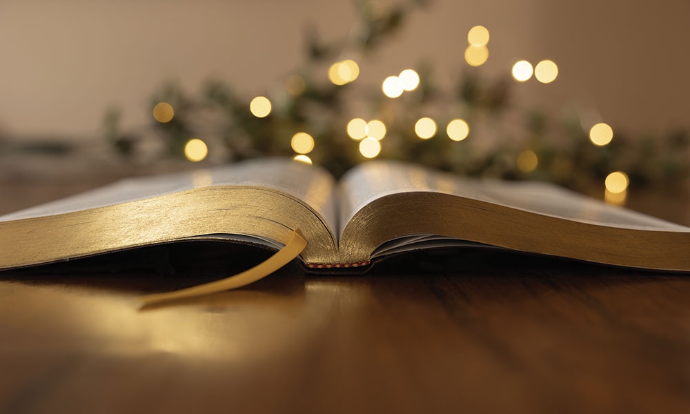 5 Giải Pháp Dành Cho Năm Mới Từ Các Thánh