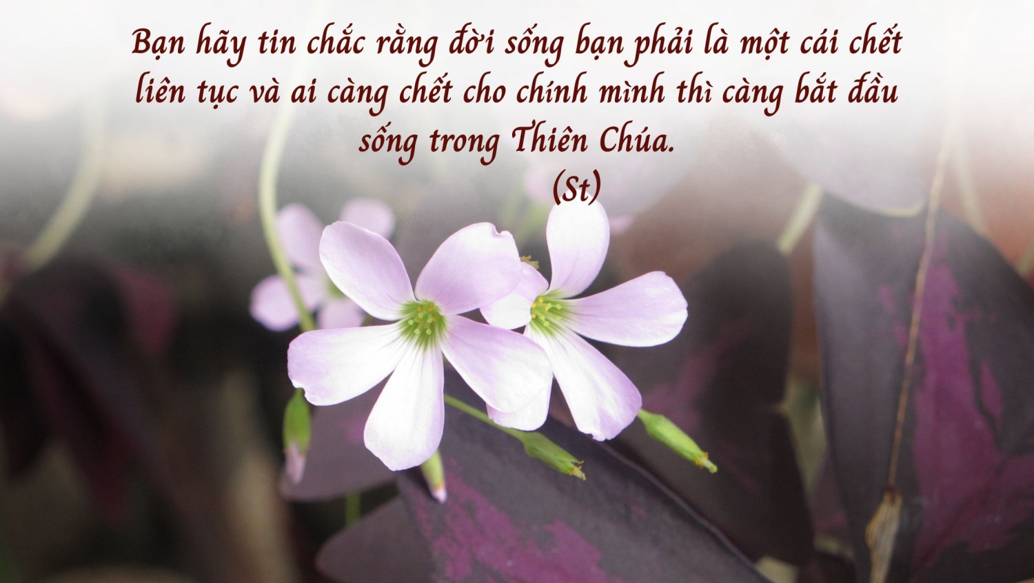 ĐỂ SỐNG TRONG CHÚA