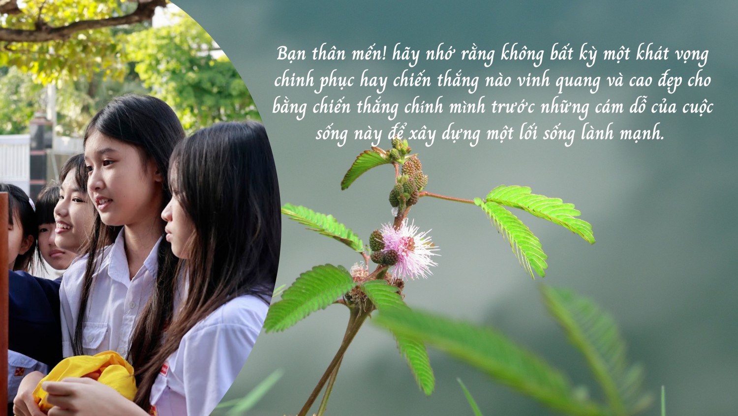 Các Bạn Trẻ Dự Tu Vùng Cam Lâm - Cam Ranh