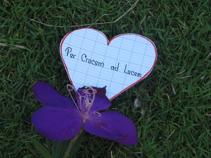 CHỊ ANNA NGUYỄN THỊ TRUNG VỀ NHÀ CHA