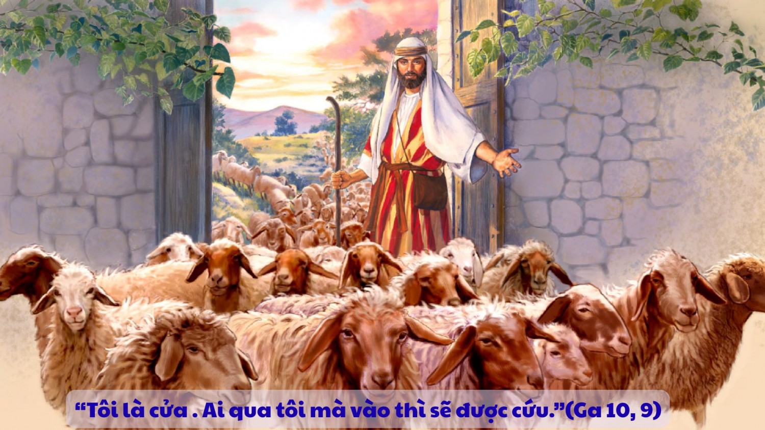 Chúa Nhật 4 Phục Sinh  - Lễ Chúa Chiên Lành (Ga 10,1-10)