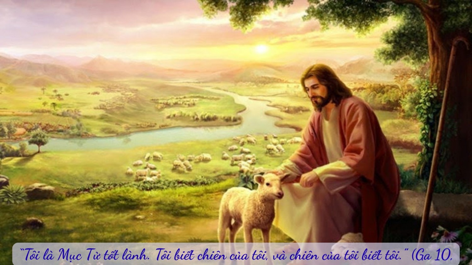 Thứ Hai Tuần 4 Phục Sinh (Ga10, 11 - 18)