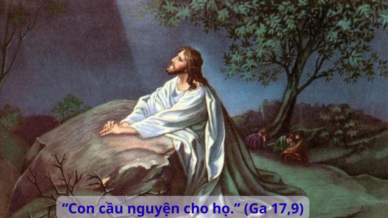Thứ Ba tuần 7 Phục Sinh (Ga 17, 1-11a)