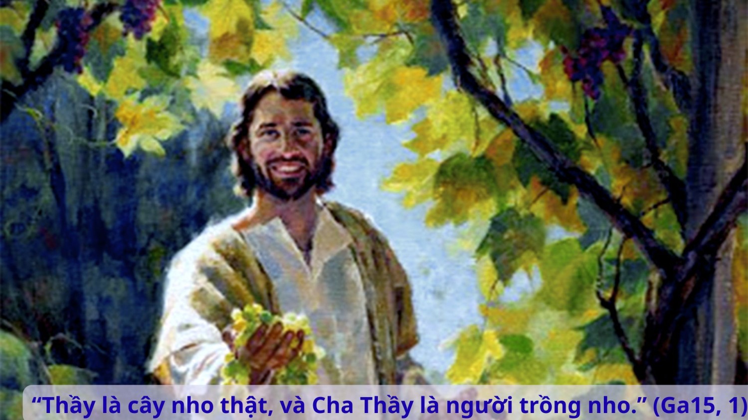 Thứ Tư Tuần 5 Phục Sinh (Ga15, 1 - 8)